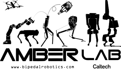 AMBER Lab